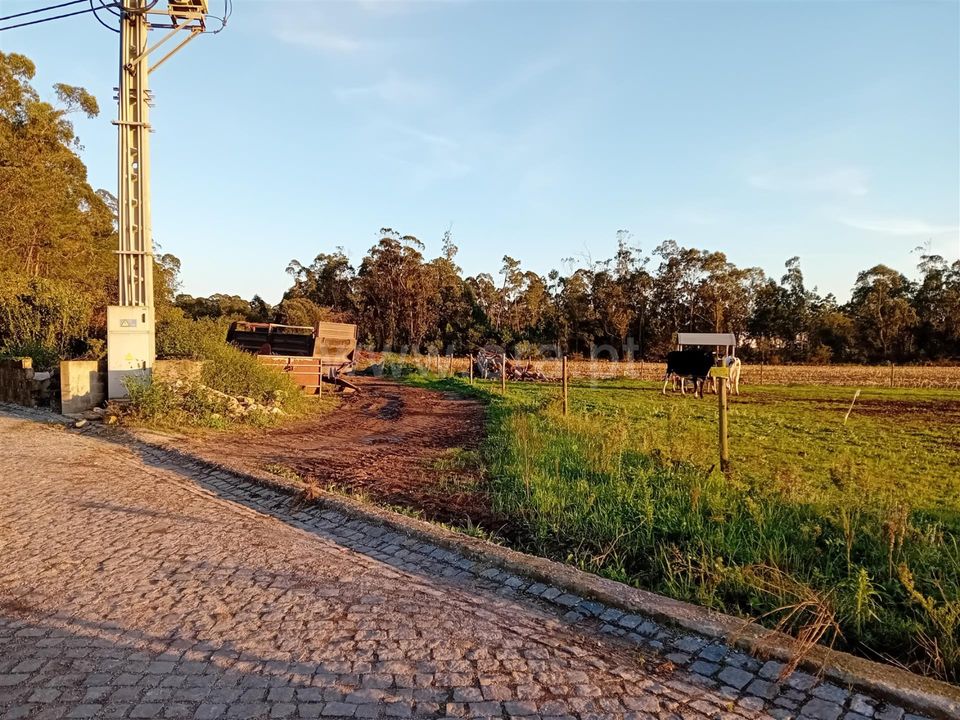 Helårsgrund i Esposende, Braga - foto 5