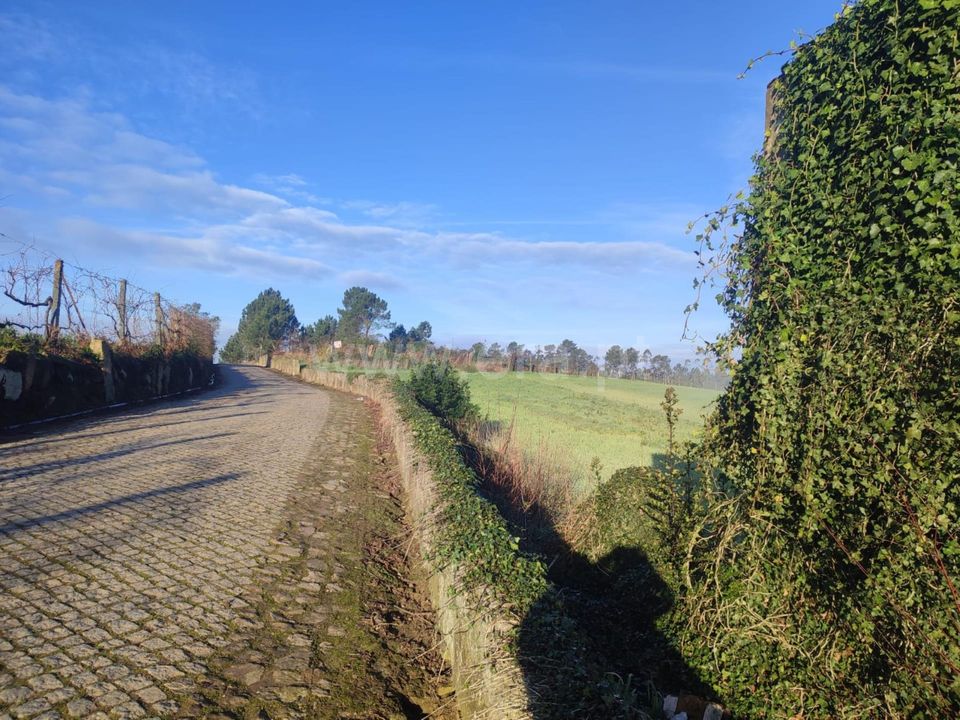 Helårsgrund i Barcelos, Braga - foto 3