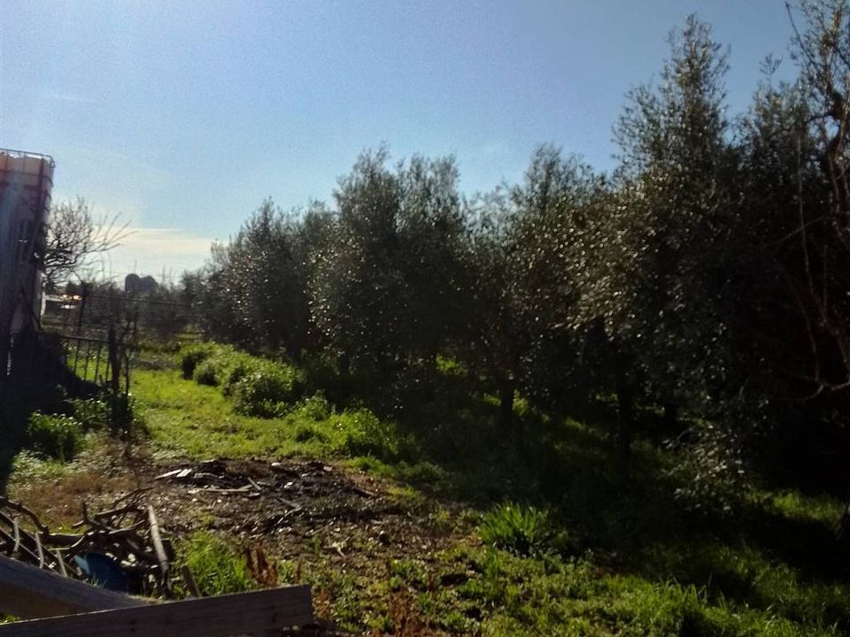 Farm hus i Rosignano Marittimo, Livorno - foto 2