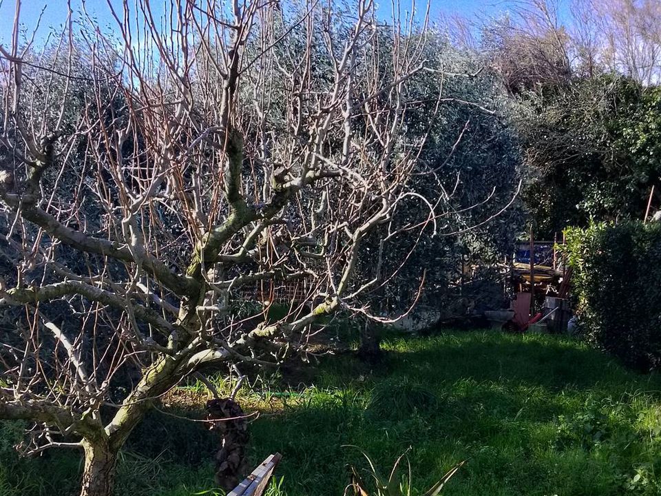 Farm hus i Rosignano Marittimo, Livorno - foto 3