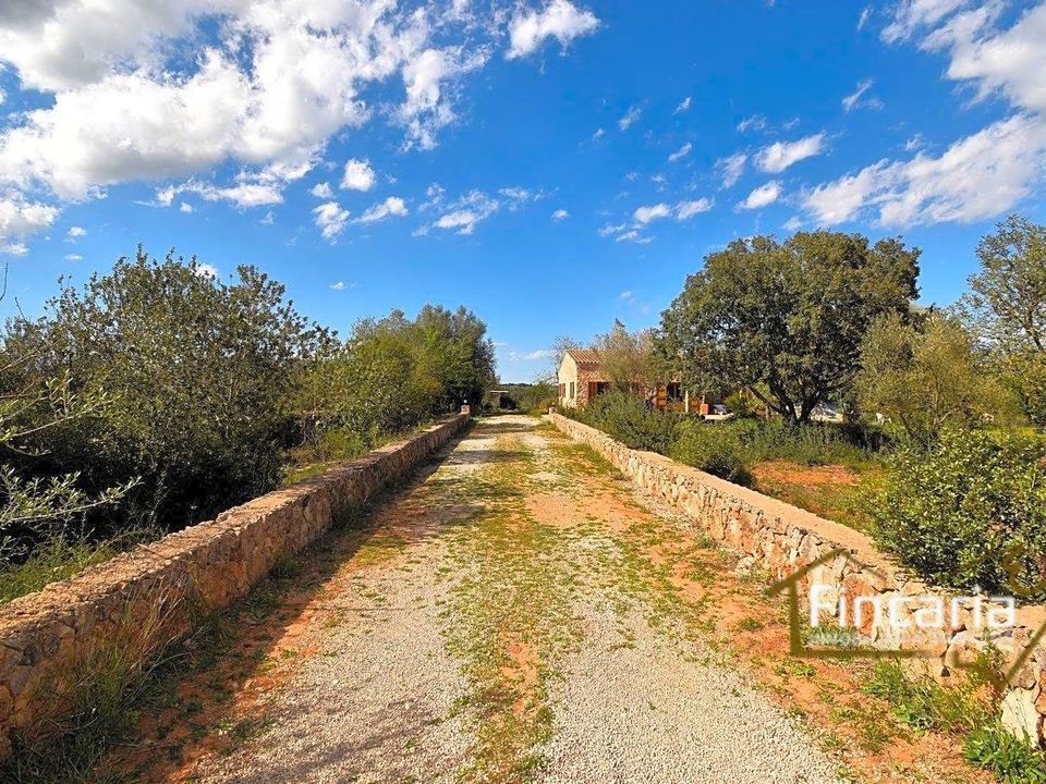 Landejendom i Manacor, Mallorca - foto 5