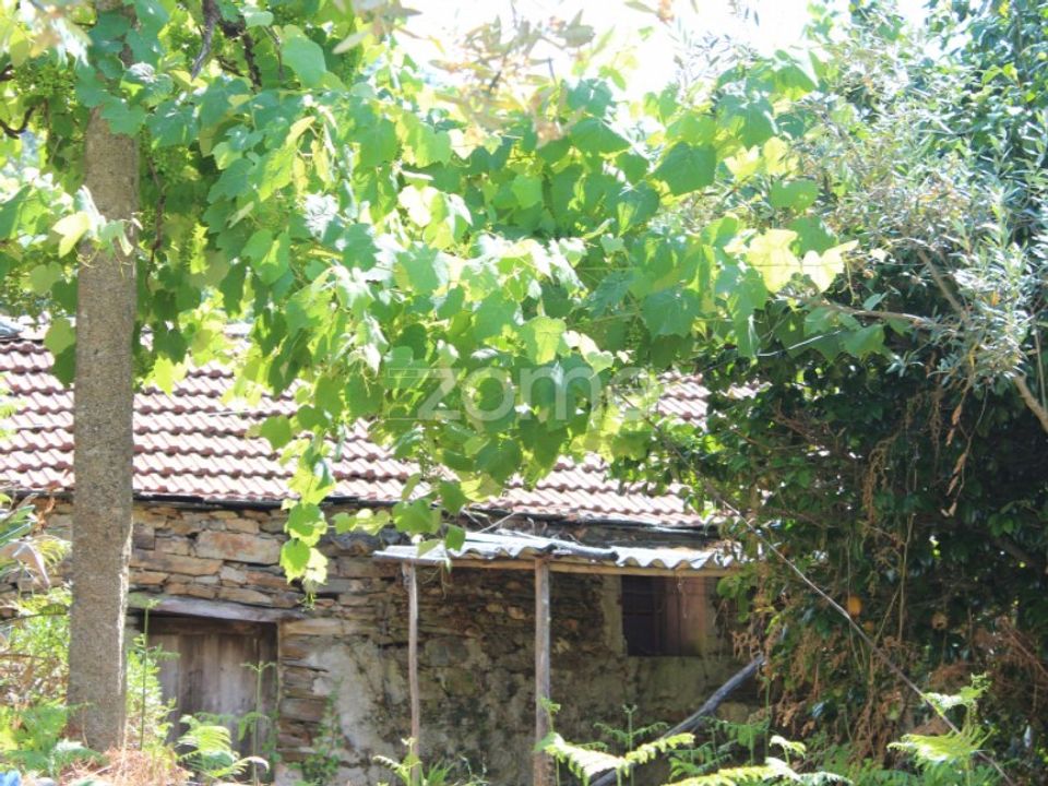Villa i Raiva, Pedorido e Paraiso, Aveiro - foto 5