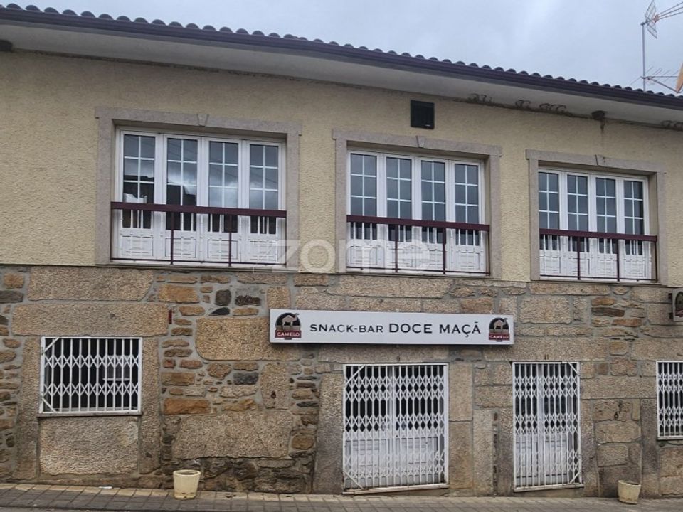 Erhvervsejendom i Armamar, Viseu - foto 2