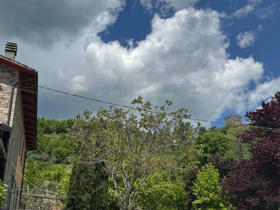 Villa i Pratovecchio Stia, Arezzo - foto 2