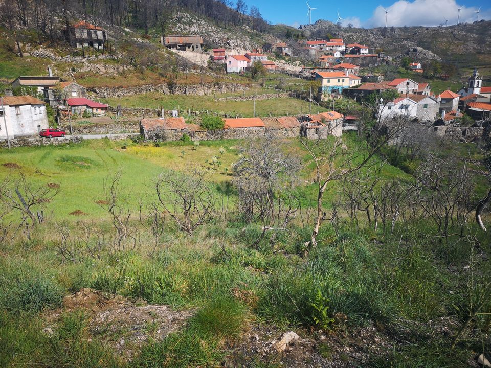 Helårsgrund i Caparrosa e Silvares, Viseu - foto 1