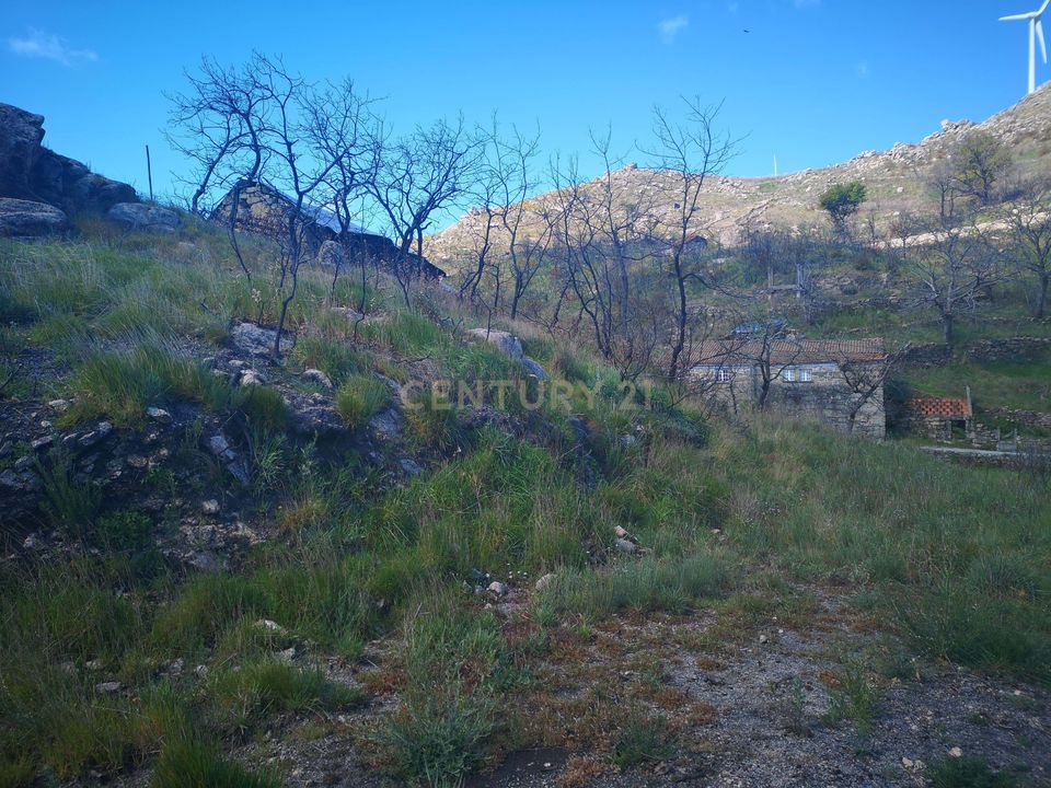 Helårsgrund i Caparrosa e Silvares, Viseu - foto 2