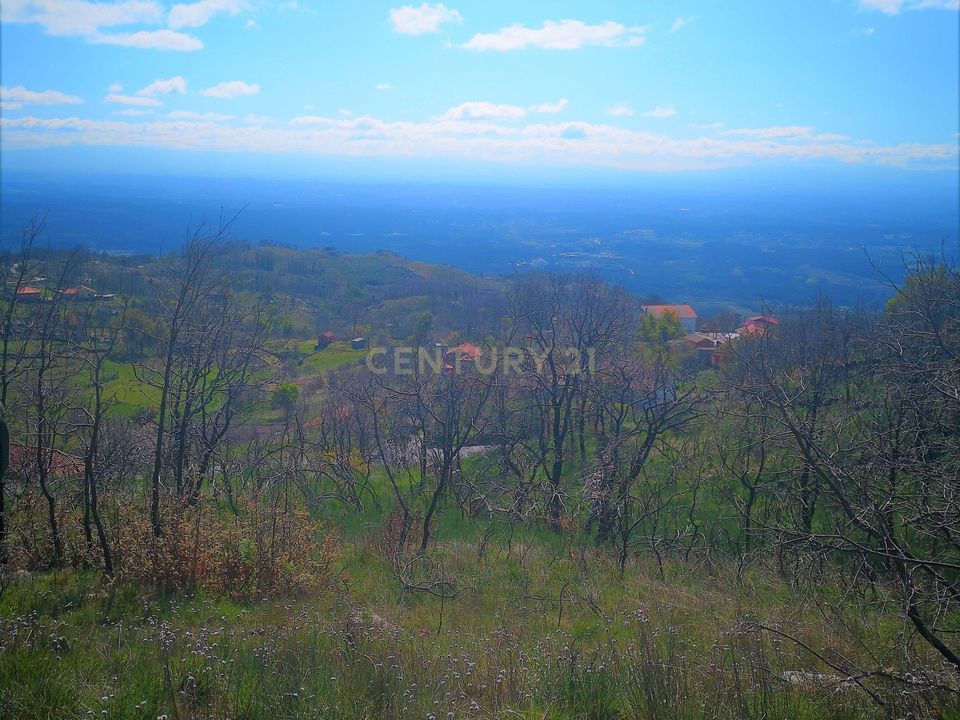 Helårsgrund i Caparrosa e Silvares, Viseu - foto 3