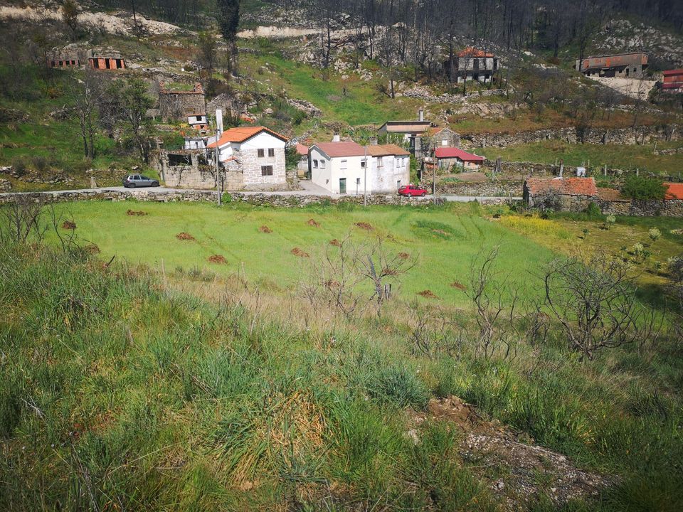 Helårsgrund i Caparrosa e Silvares, Viseu - foto 4