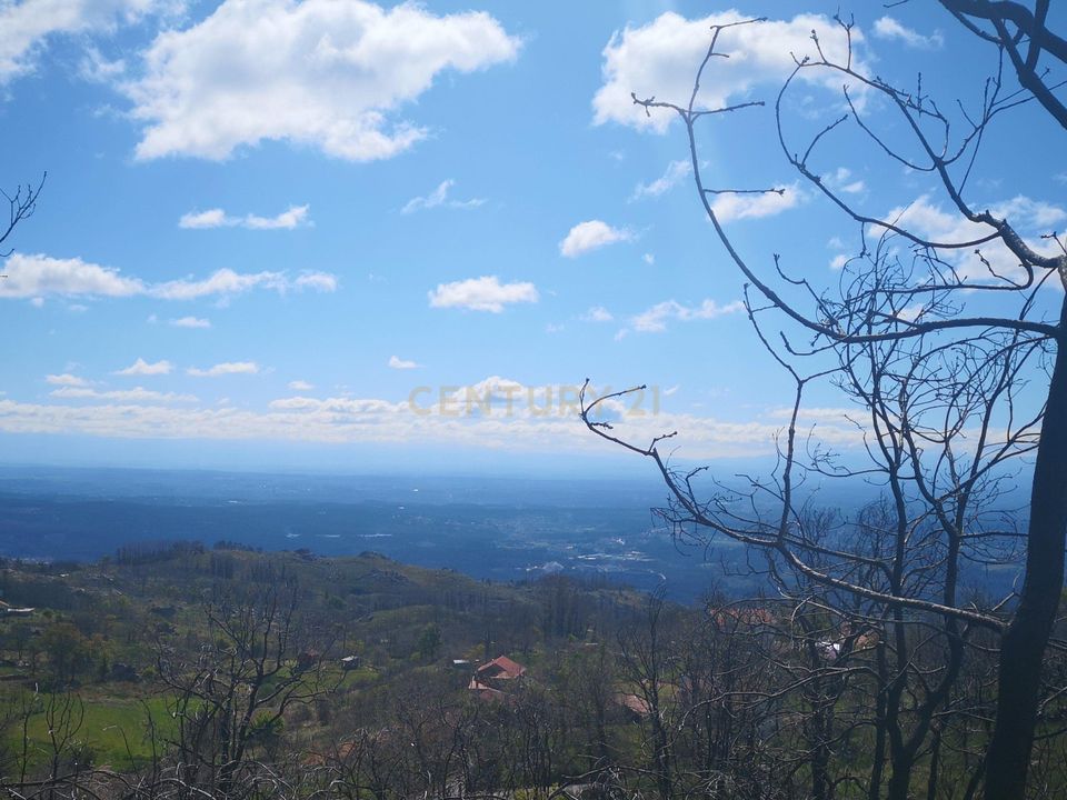 Helårsgrund i Caparrosa e Silvares, Viseu - foto 5