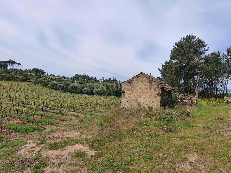 Helårsgrund i Santar e Moreira, Viseu - foto 5