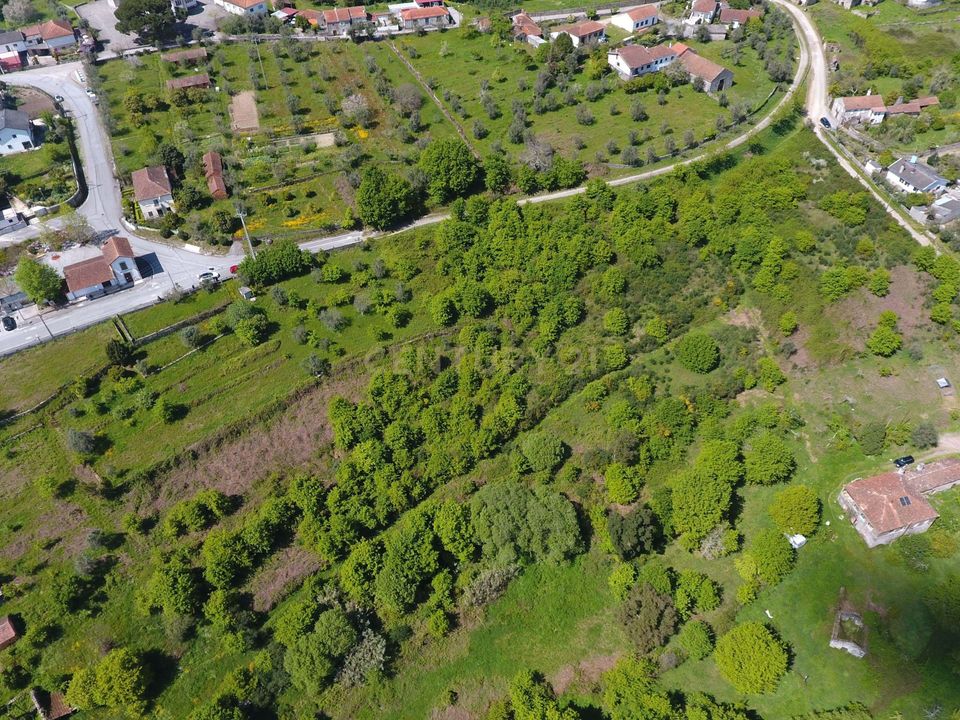 Terreno en Vouzela, Viseu - foto 4
