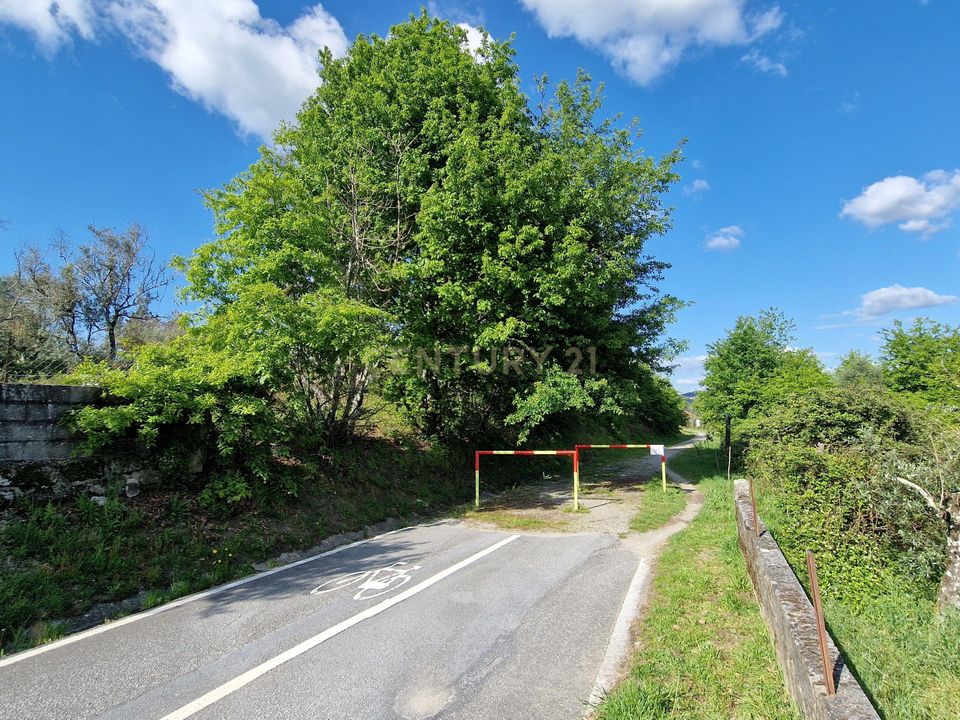 Terreno en Vouzela, Viseu - foto 3