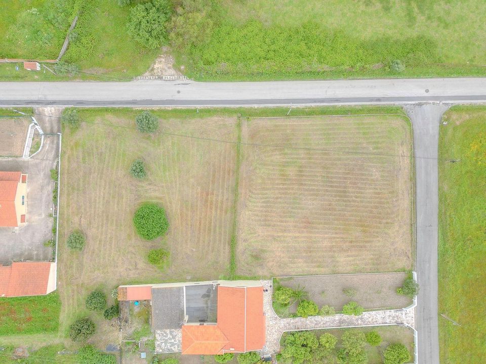 Helårsgrund i Cartaxo, Santarem - foto 2