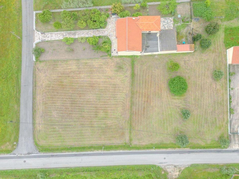 Helårsgrund i Cartaxo, Santarem - foto 3
