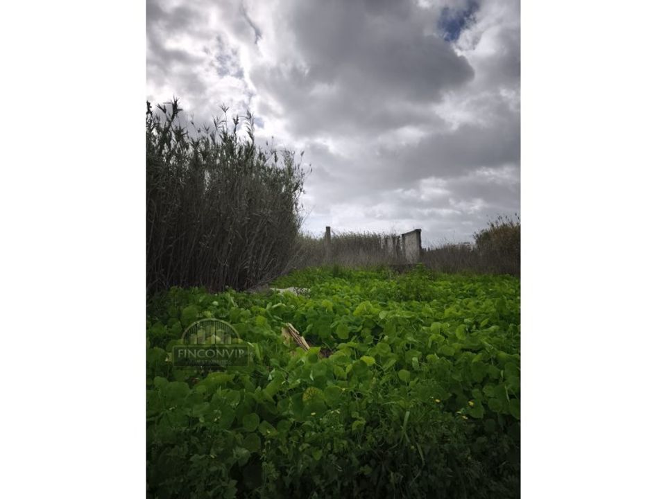 Farm i Costa da Caparica, Setubal - foto 3
