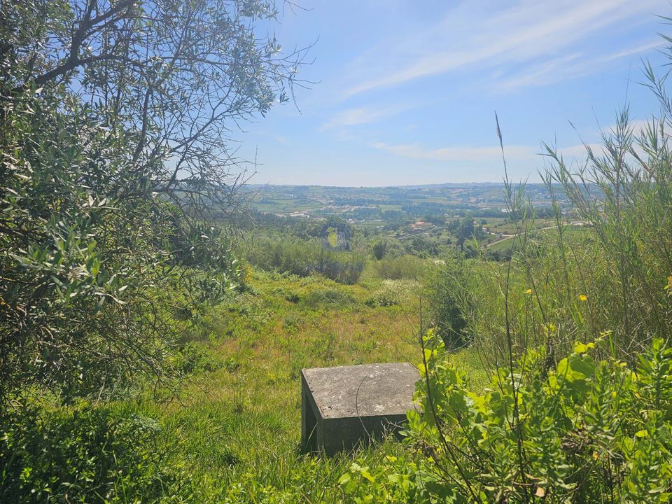 Helårsgrund i Alcobaca, Leiria - foto 1