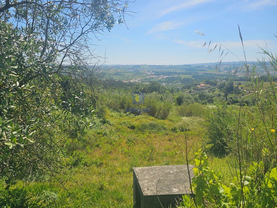 Helårsgrund i Alcobaca, Leiria - foto 2