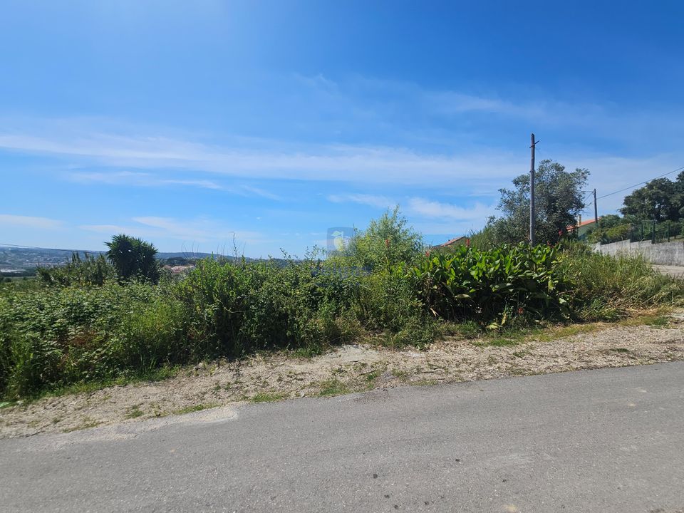 Helårsgrund i Alcobaca, Leiria - foto 3