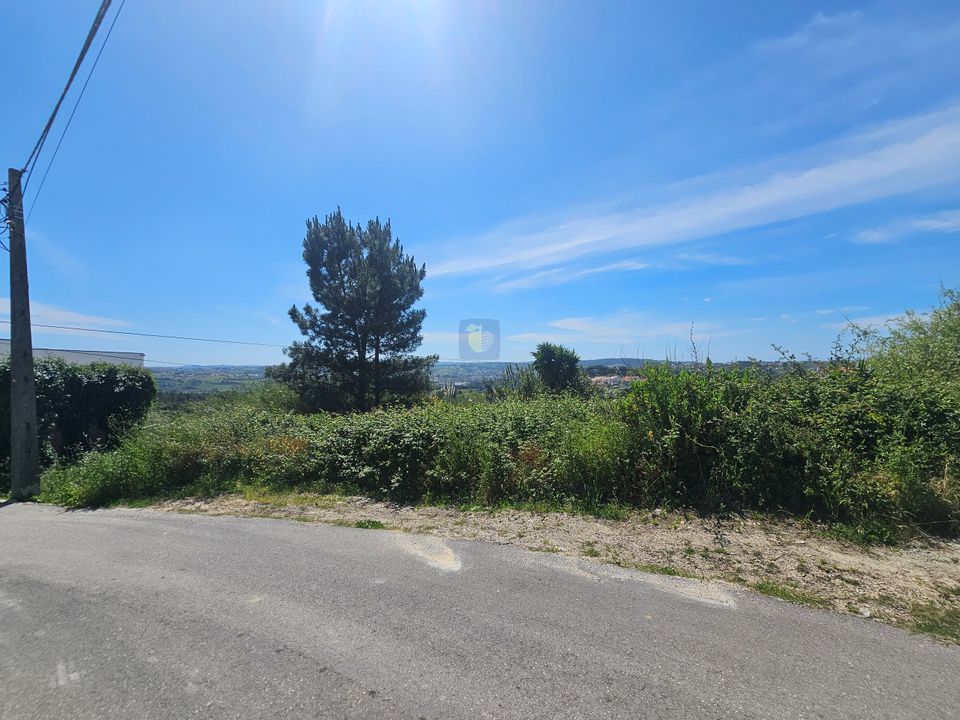 Helårsgrund i Alcobaca, Leiria - foto 4