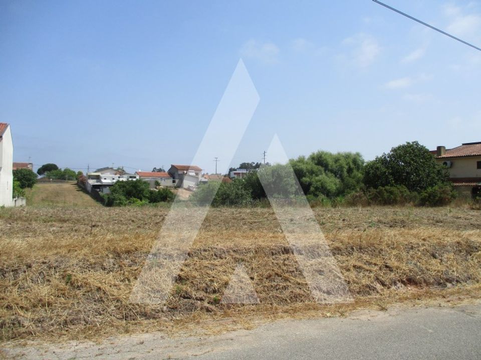 Helårsgrund i Oliveira do Bairro, Aveiro - foto 1
