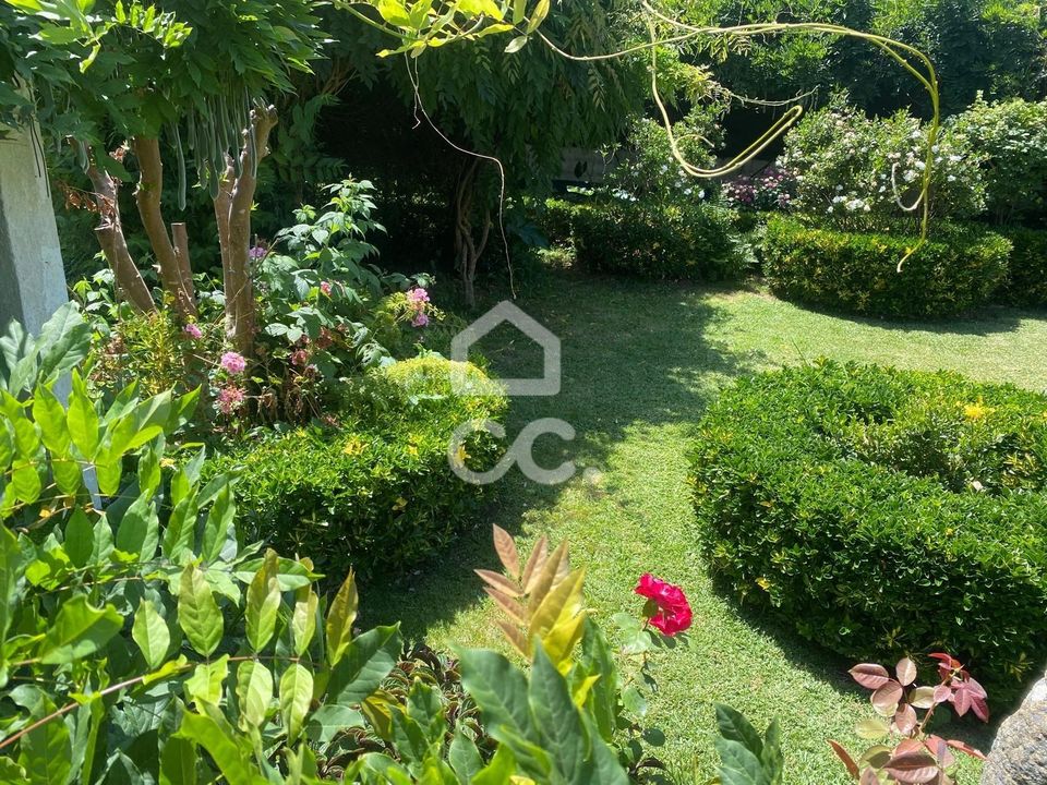 Farm hus i Caminha, Viana do Castelo - foto 4