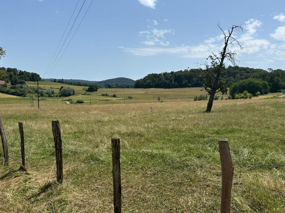 Farm i Viethorey, Doubs - foto 4
