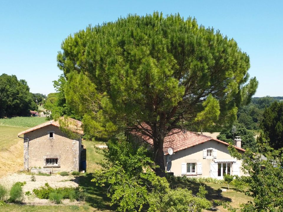 Villa i Montmoreau-Saint-Cybard, Charente - foto 2