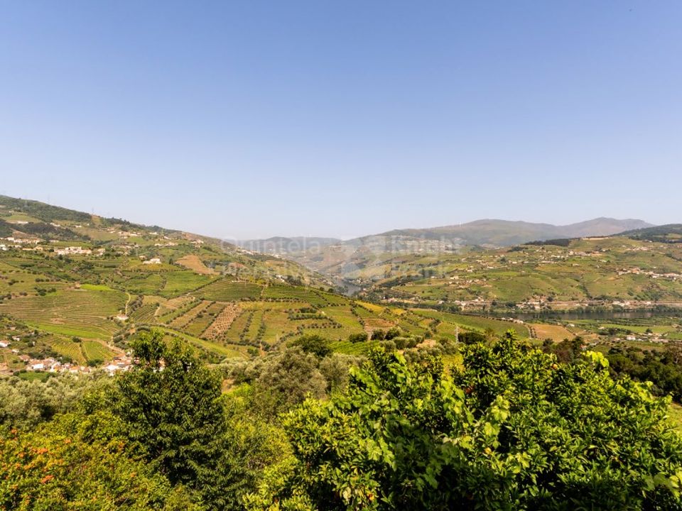 Farm i Lamego, Viseu - foto 1