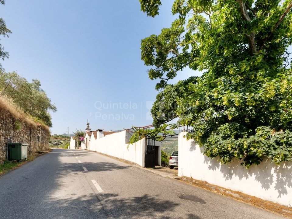 Farm i Lamego, Viseu - foto 2