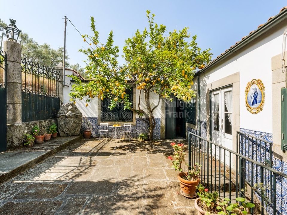 Farm i Lamego, Viseu - foto 3