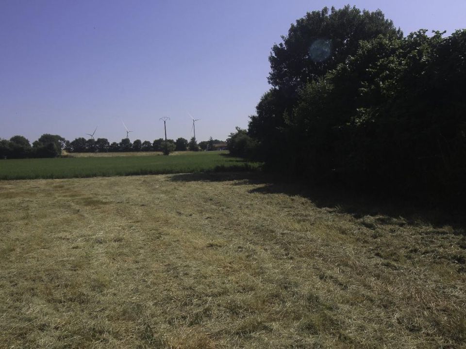 Tomt i Nachamps, Charente-Maritime - bilde 1