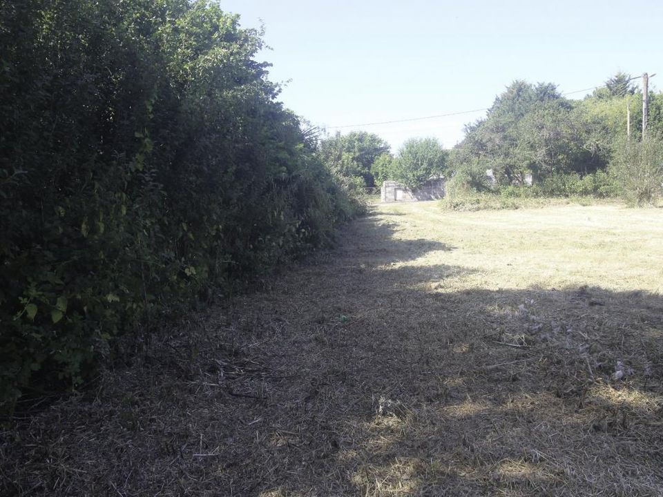 Tomt i Nachamps, Charente-Maritime - bilde 3