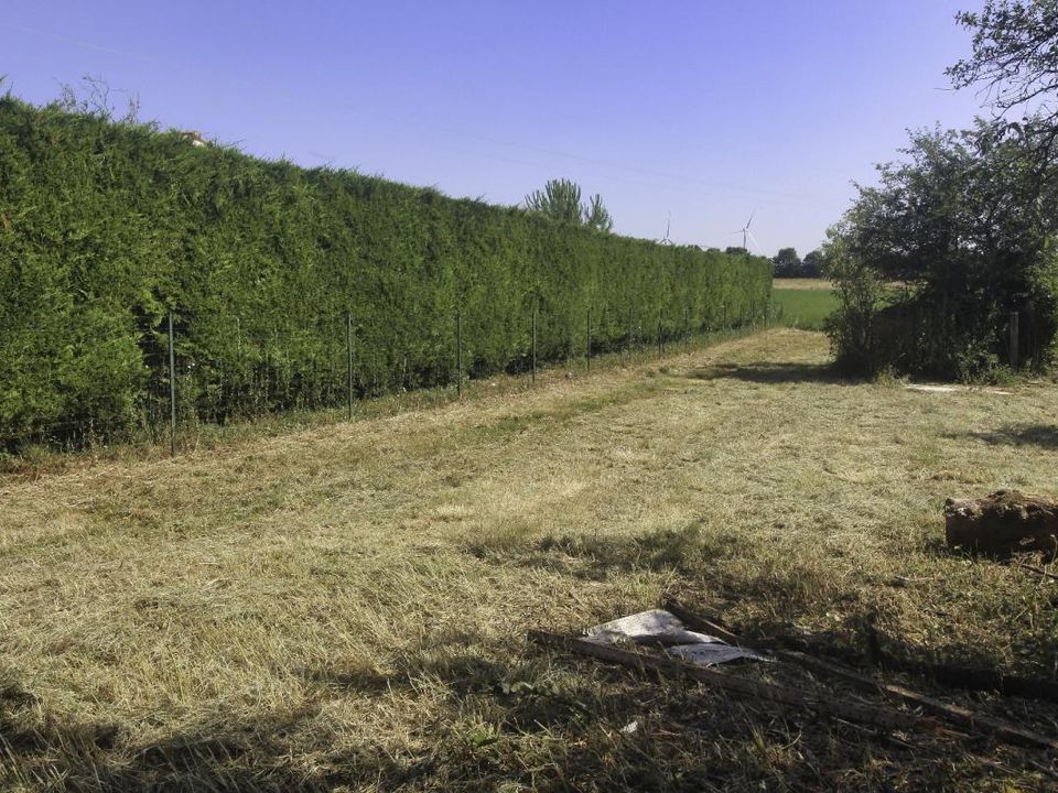 Tomt i Nachamps, Charente-Maritime - bilde 4