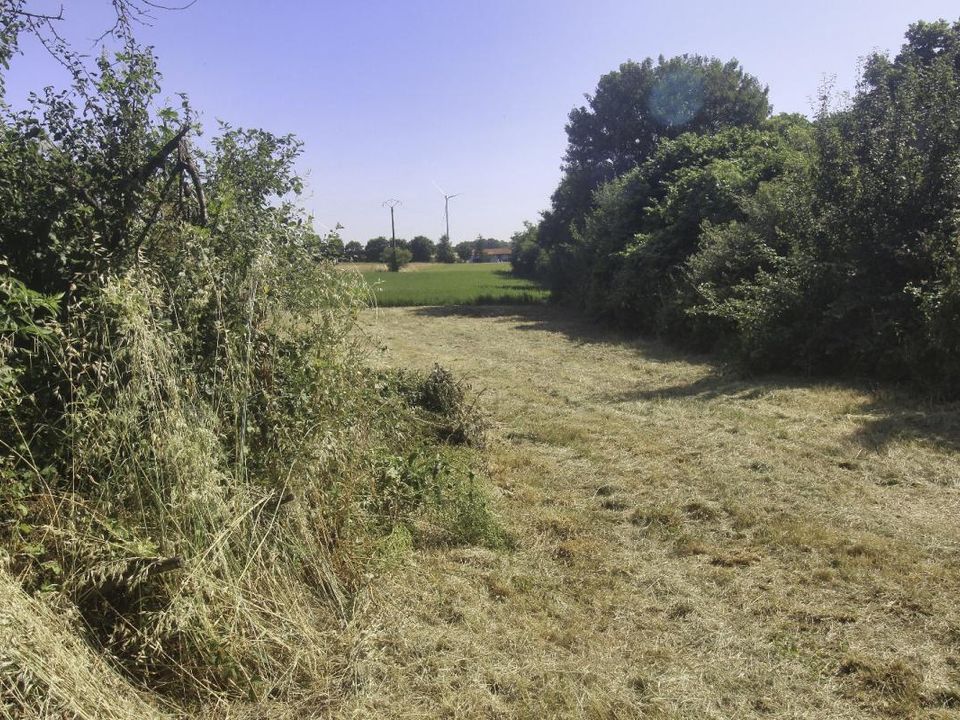 Tomt i Nachamps, Charente-Maritime - bilde 5