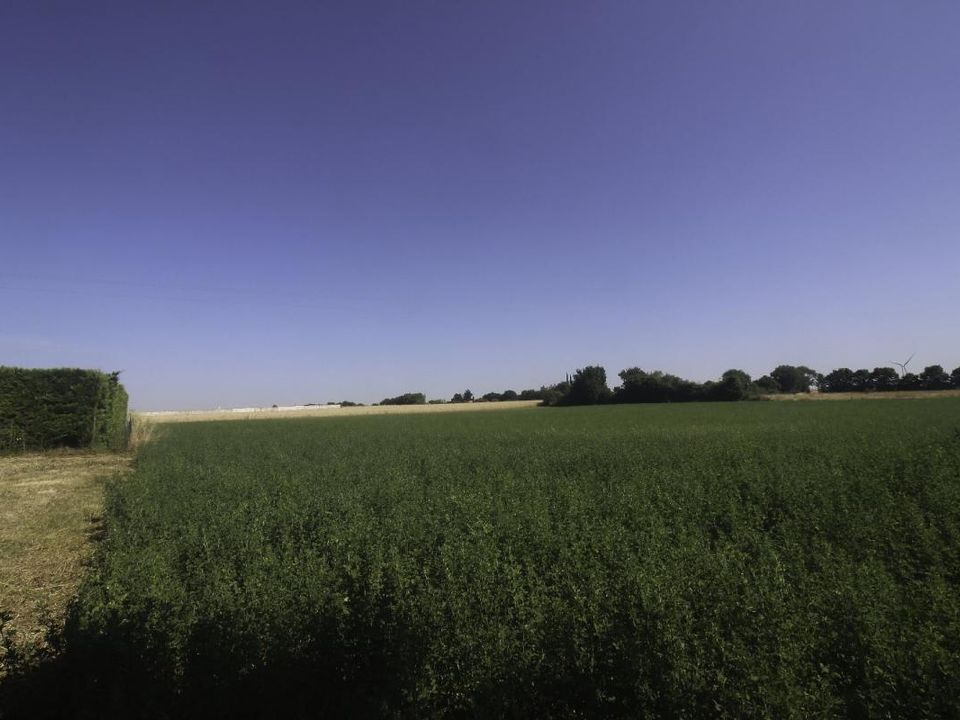Tomt i Nachamps, Charente-Maritime - bilde 3
