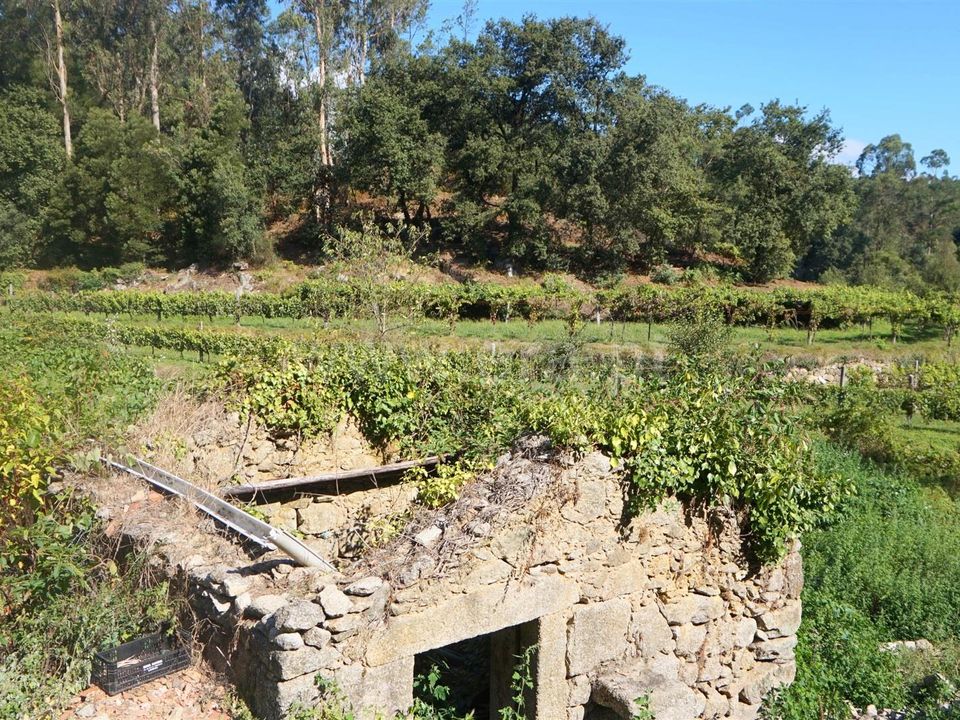 Helårsgrund i Barcelos, Braga - foto 2