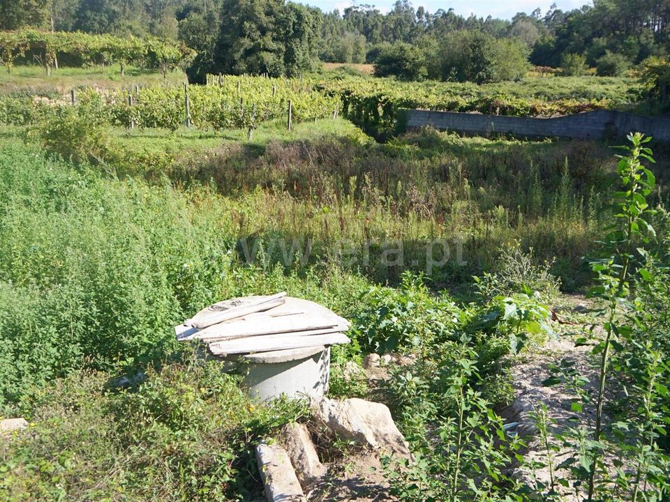 Helårsgrund i Barcelos, Braga - foto 4