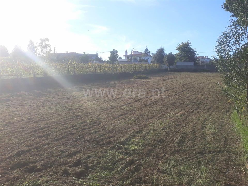 Helårsgrund i Barcelos, Braga - foto 2