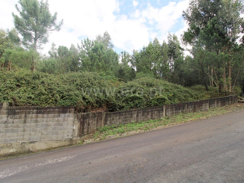 Helårsgrund i Barcelos, Braga - foto 2