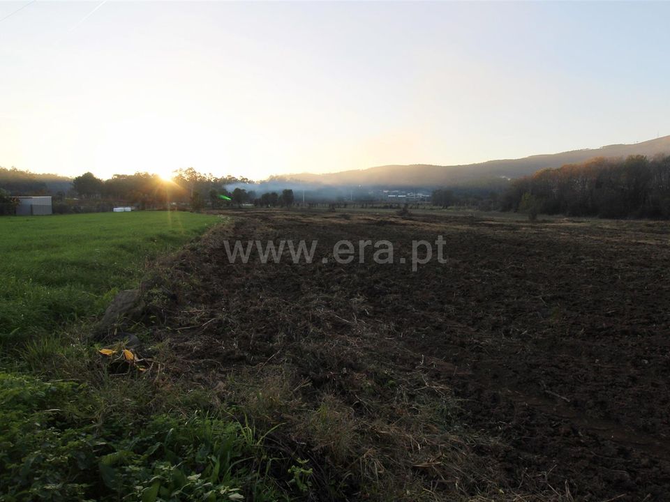 Helårsgrund i Barcelos, Braga - foto 5