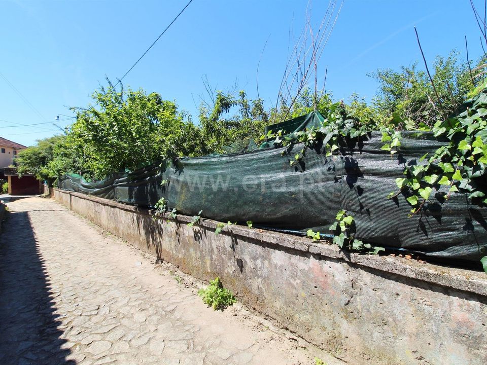 Helårsgrund i Barcelos, Braga - foto 4