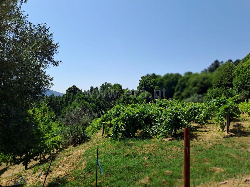 Landejendom i Covilha, Castelo Branco - foto 3