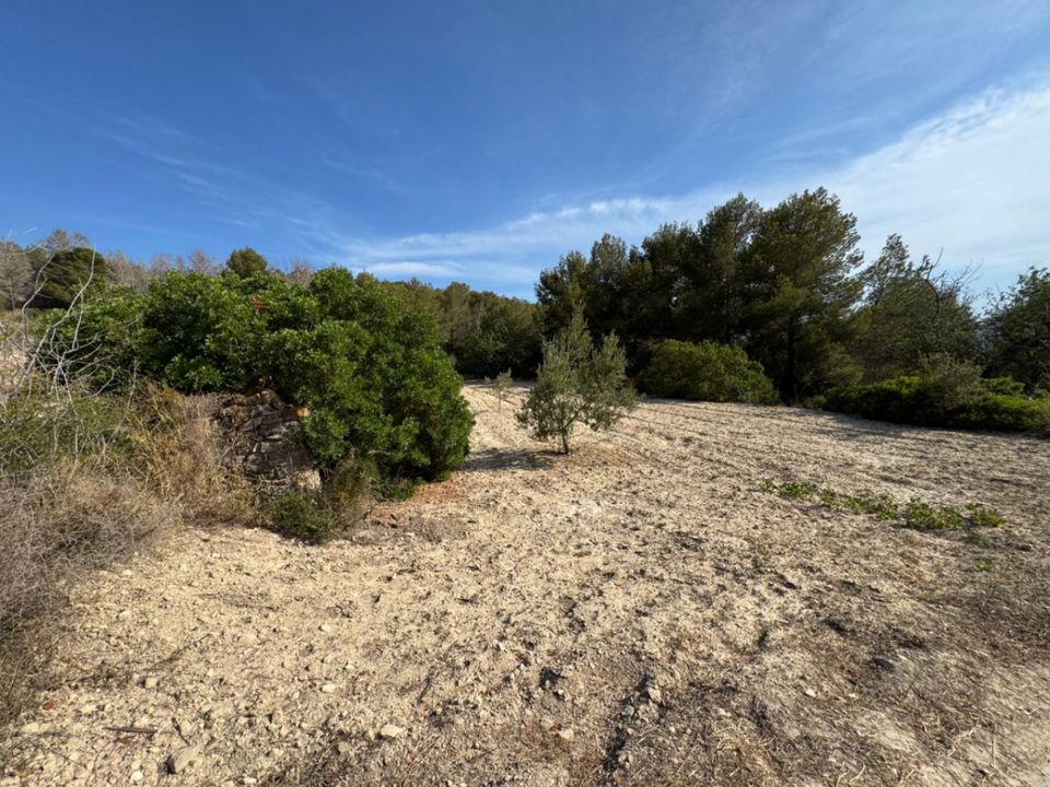 Helårsgrund i Benissa, Alicante - foto 4