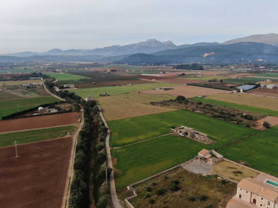 Helårsgrund i Sa Pobla, Mallorca - foto 3