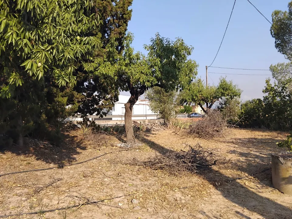 Finca i Mora La Nova, Tarragona - foto 5
