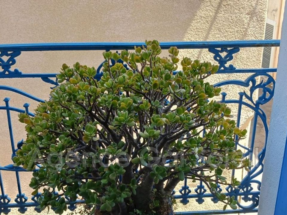 Villa i Nissan-lez-Enserune, Herault - foto 3