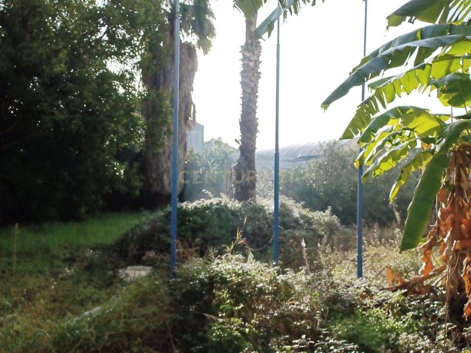 Helårsgrund i Amadora, Lisbon - foto 1