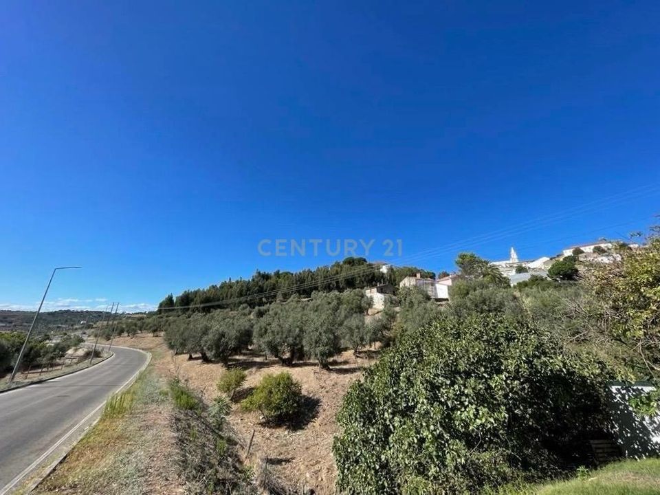 Helårsgrund i Portalegre, Portalegre - foto 3