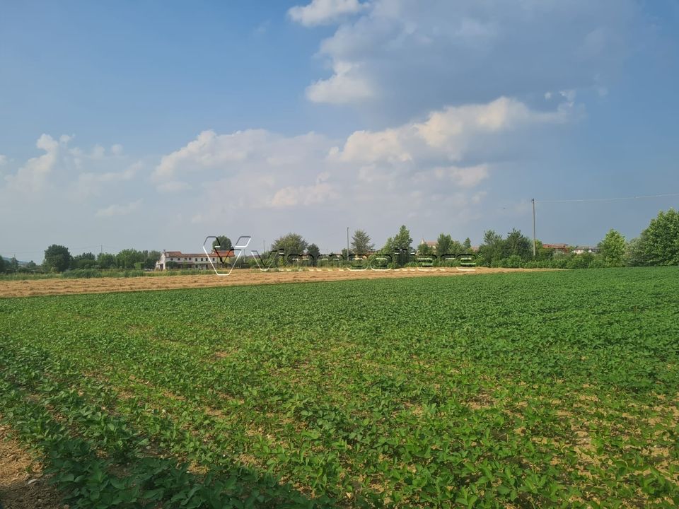 Erhvervsejendom i Barbarano Mossano, Vicenza - foto 2
