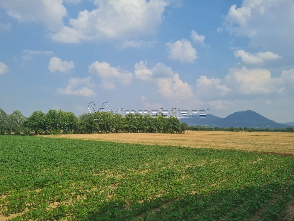 Erhvervsejendom i Barbarano Mossano, Vicenza - foto 4